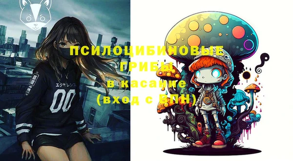 круглые Осинники
