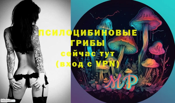 круглые Осинники