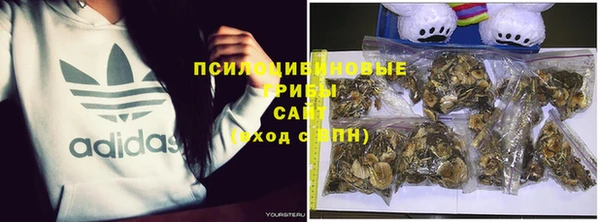 прущий лед Пестово